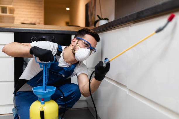 Best Cockroach Control Services  in Versailles, OH