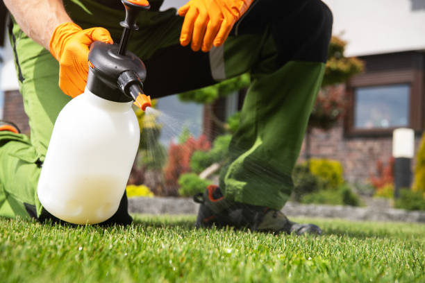 Best Emergency Pest Control  in Versailles, OH