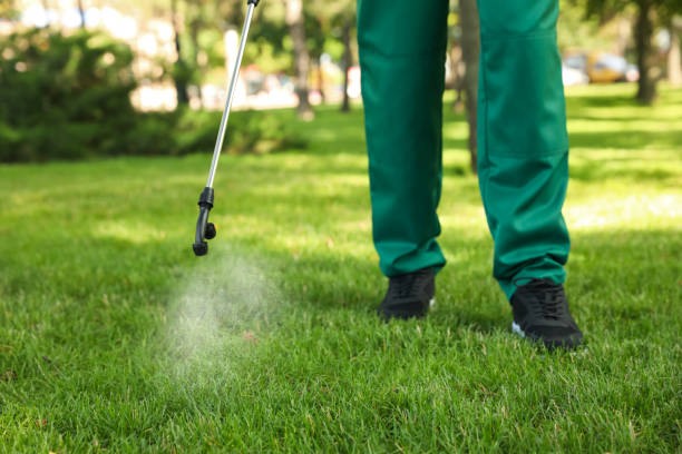 Best Residential Pest Control  in Versailles, OH