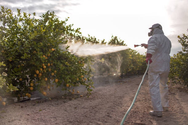 Best Pest Removal Services  in Versailles, OH