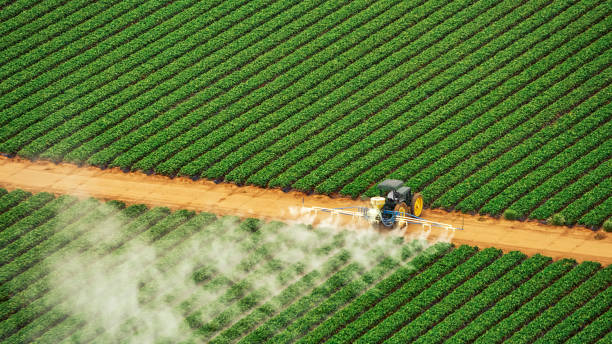 Best Mosquito Control Services  in Versailles, OH
