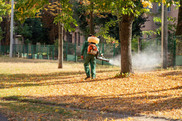 Best Wildlife Control Services  in Versailles, OH